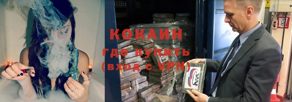 ПСИЛОЦИБИНОВЫЕ ГРИБЫ Богданович