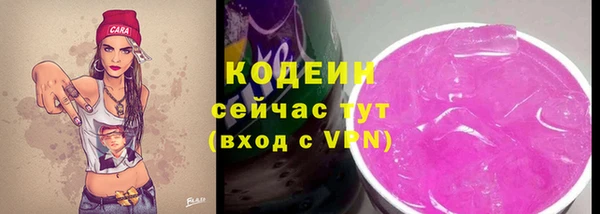 ПСИЛОЦИБИНОВЫЕ ГРИБЫ Богданович