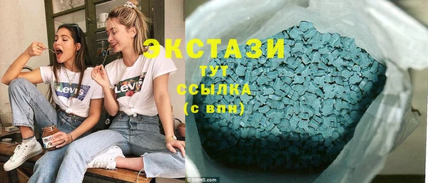 ПСИЛОЦИБИНОВЫЕ ГРИБЫ Богданович