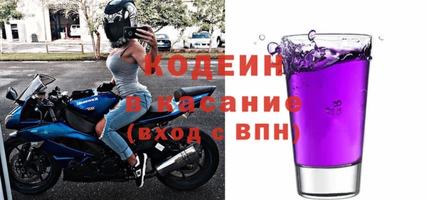 ПСИЛОЦИБИНОВЫЕ ГРИБЫ Богданович