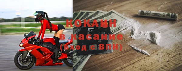 ПСИЛОЦИБИНОВЫЕ ГРИБЫ Богданович