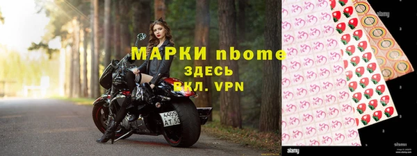 ПСИЛОЦИБИНОВЫЕ ГРИБЫ Богданович