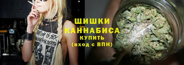 трава Богородицк