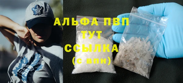 ПСИЛОЦИБИНОВЫЕ ГРИБЫ Богданович